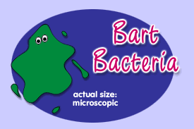 Bart Bacteria