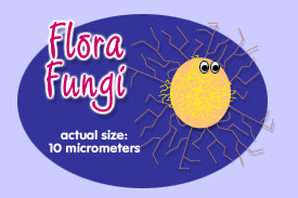 Flora Fungi