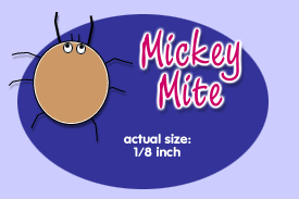 Mickey Mite