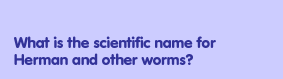 What is the scientific name for Herman and other worms?