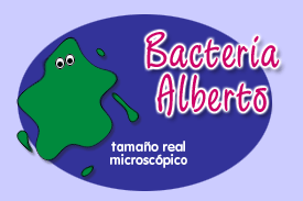 Bacteria Alberto
